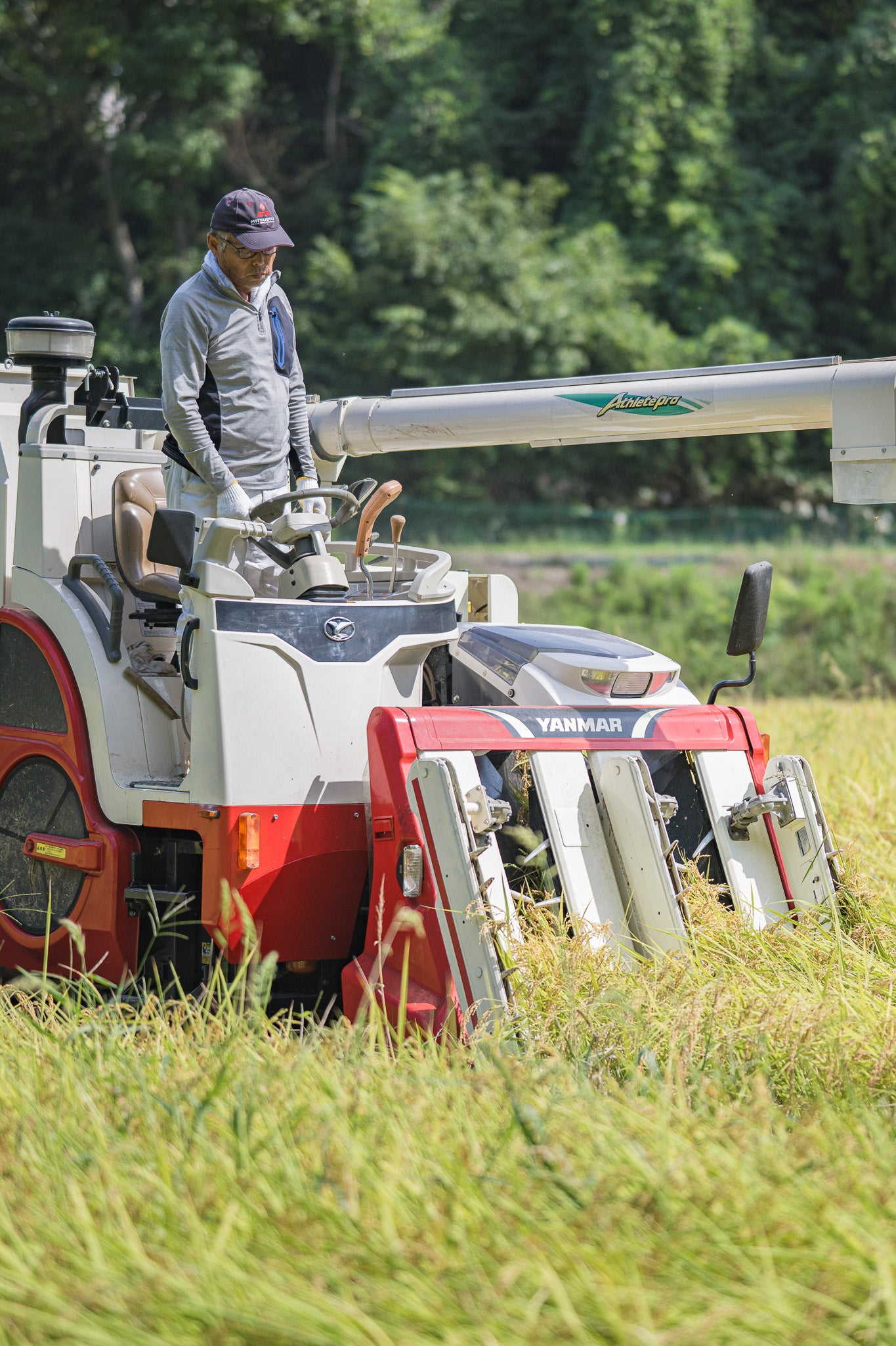【白米】能登七尾産コシヒカリ